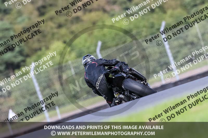 PJ Motorsport 2019;donington no limits trackday;donington park photographs;donington trackday photographs;no limits trackdays;peter wileman photography;trackday digital images;trackday photos